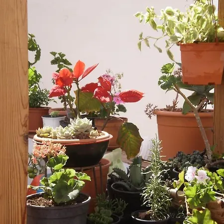 Rum i privatbostad La Azotea Las Palmas de Gran Canaria
